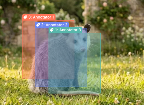 Screenshot of opossum bboxes