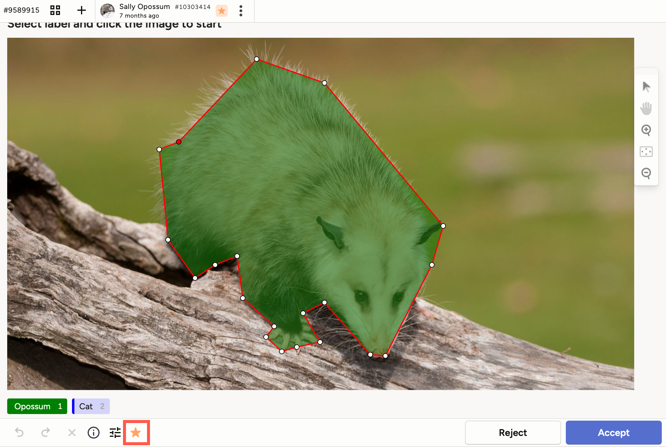 screenshot of ground truth